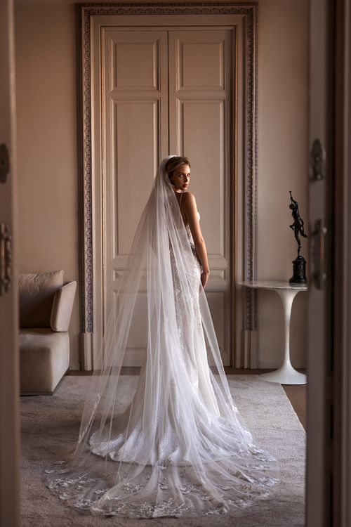 Aria's Bridal Elegance: Dresses & Veil from Aria Collection for Your  Unforgettable Day